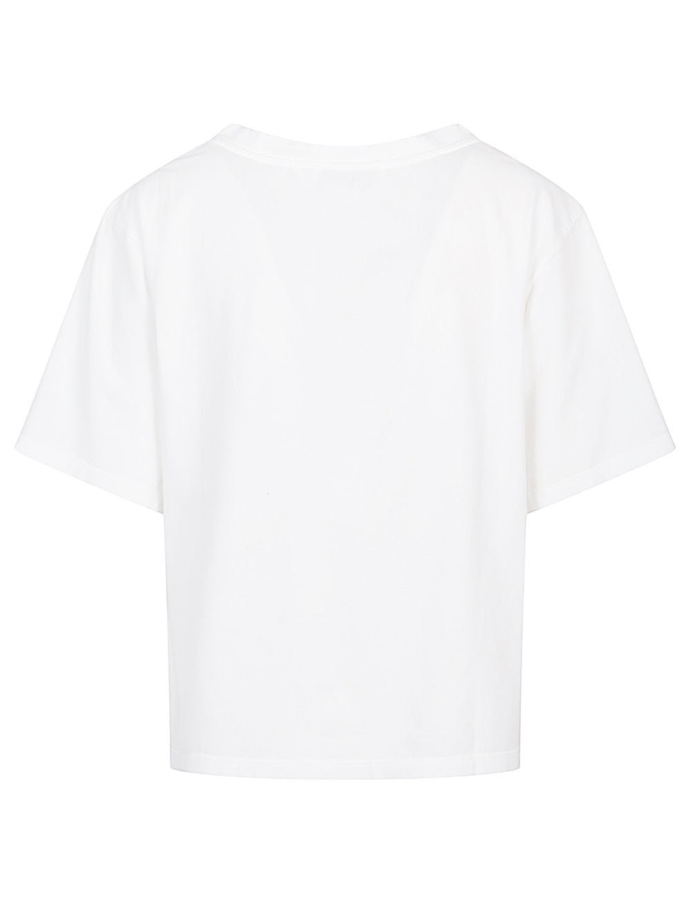 T-shirt Bazë / Polo e Bardhë