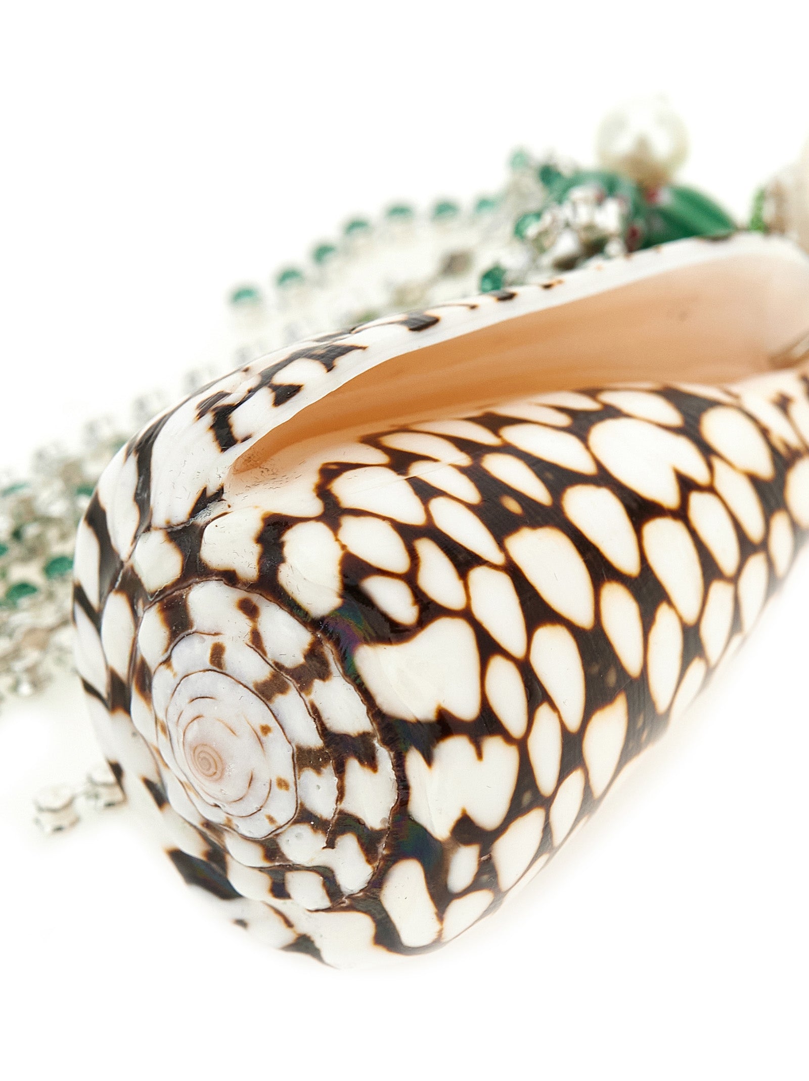 Dries Van Noten Shell Necklace