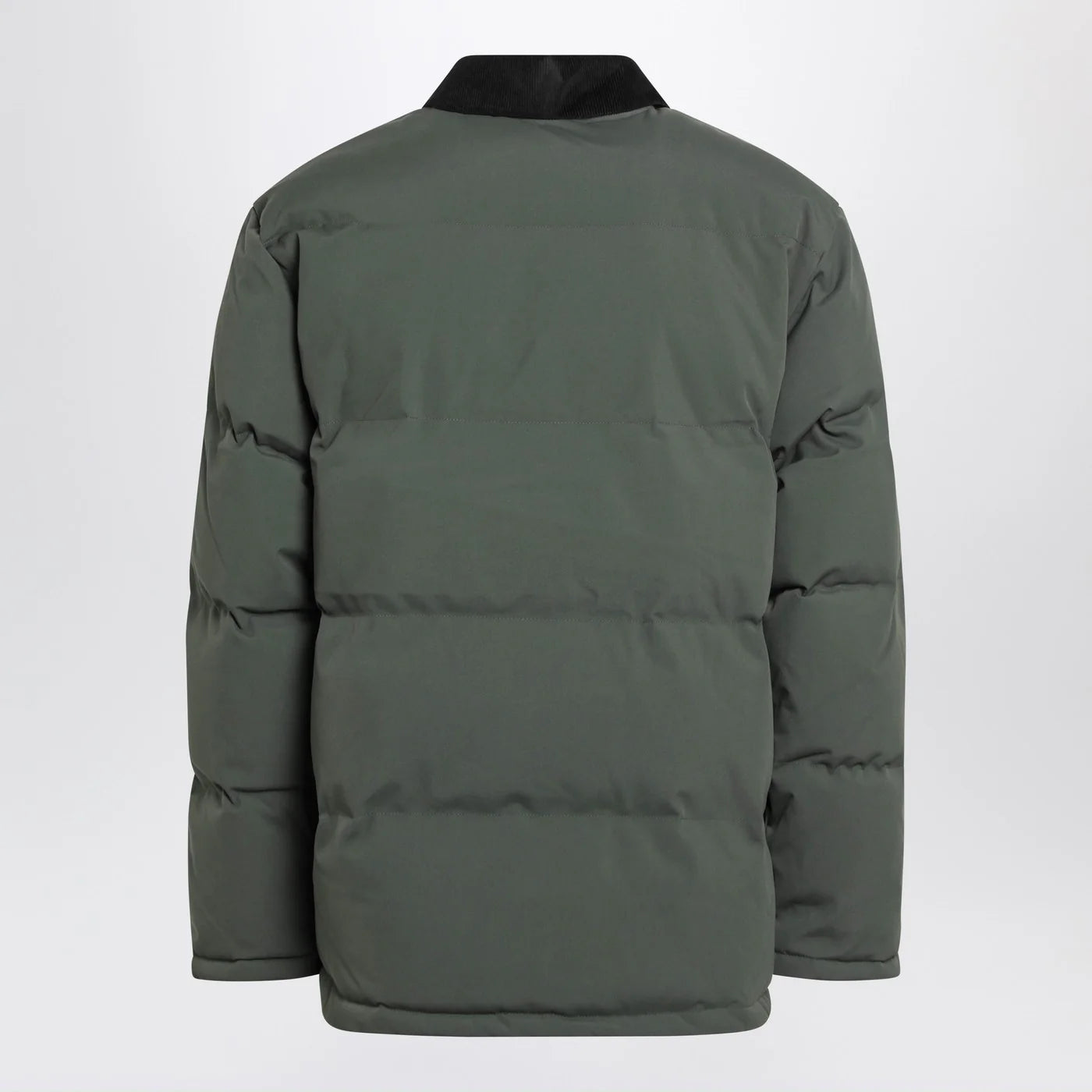 Carhartt WIP Rayler jacket Opuntia/Black