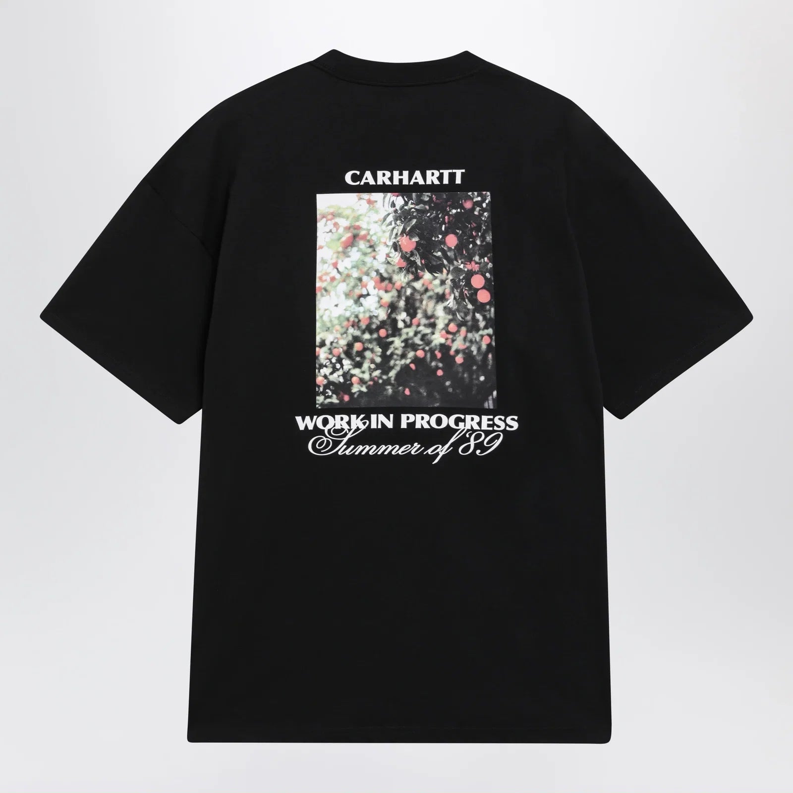Carhartt WIP S/S Warm Views T-shirt in organic cotton, black