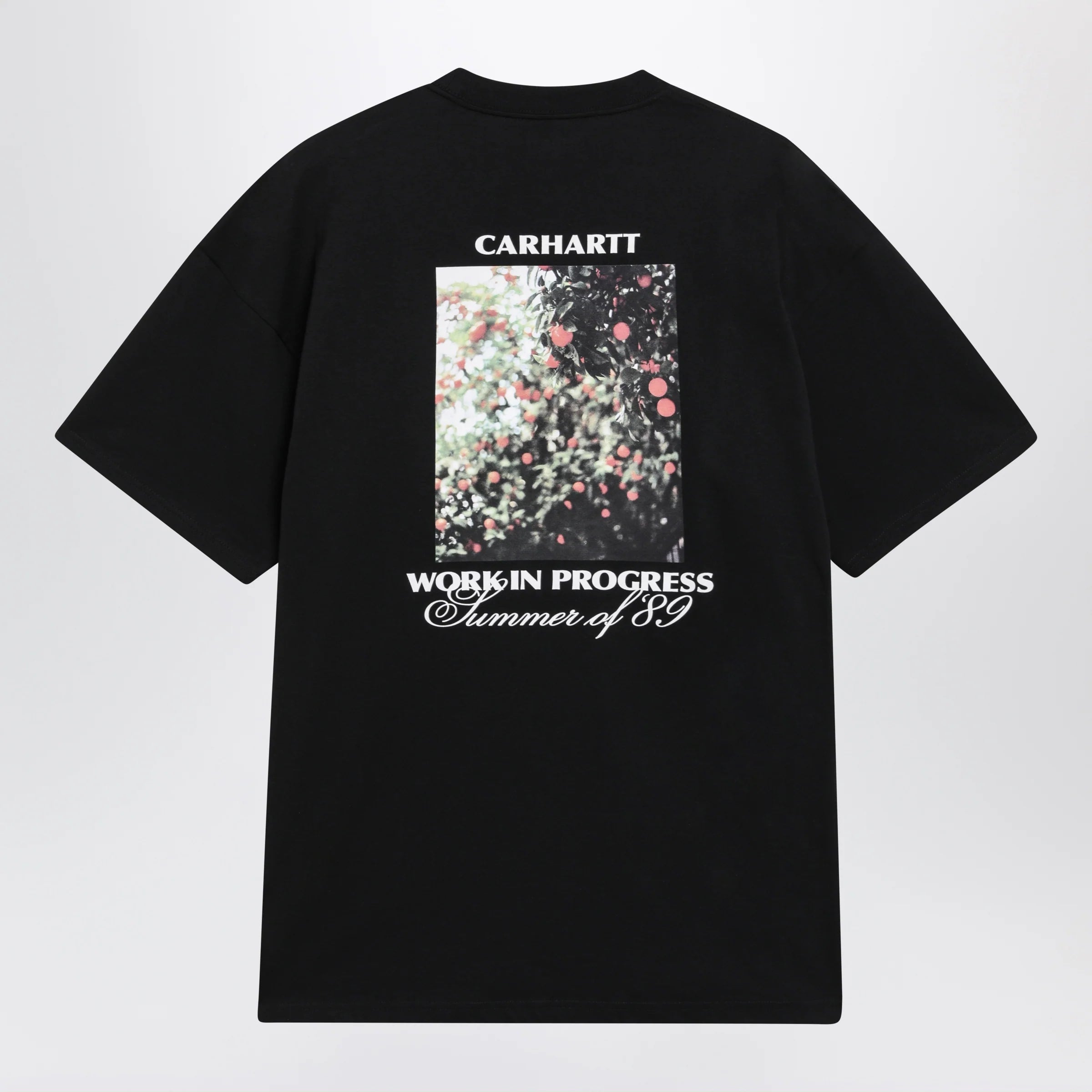 Carhartt WIP S/S Warm Views T-shirt in organic cotton, black